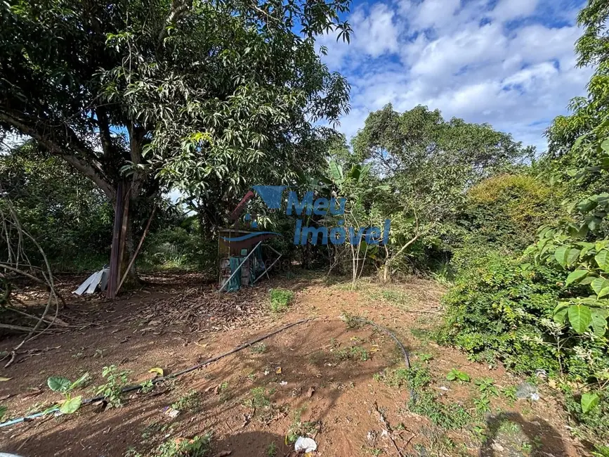 Foto 9 de Chácara com 3 quartos à venda, 23000m2 em Área Rural de Luziânia, Luziania - GO