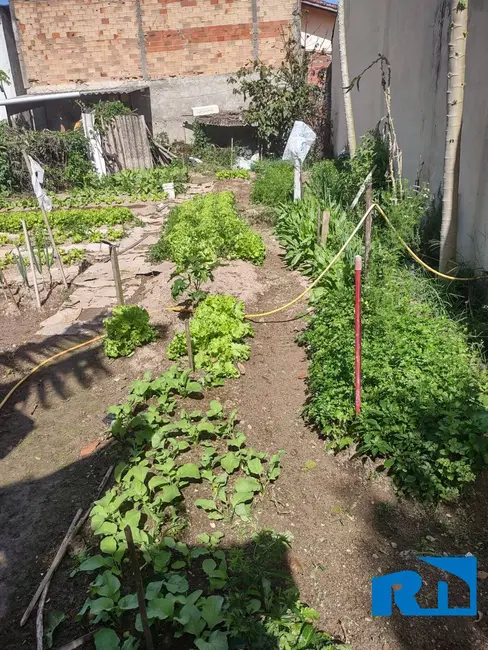 Terreno / Lote à venda, 225m2 em Balneário dos Golfinhos, Caraguatatuba - SP - imagem 6 Foto 6 de Terreno / Lote à venda, 225m2 em Balneário dos Golfinhos, Caraguatatuba - SP