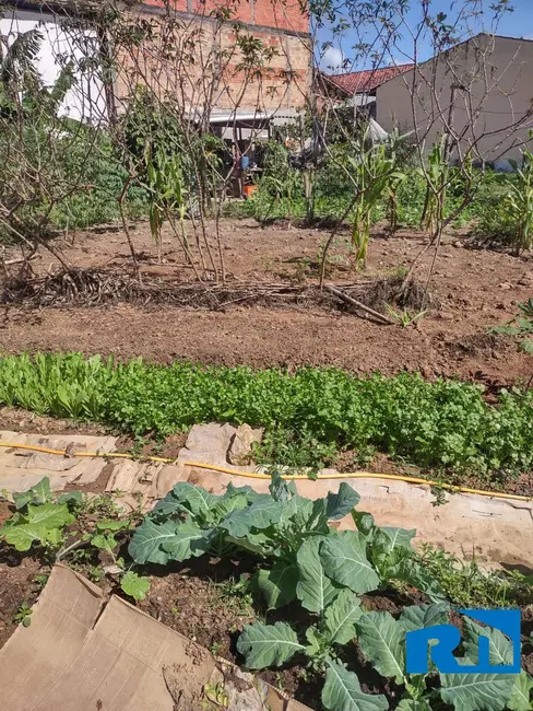 Terreno / Lote à venda, 225m2 em Balneário dos Golfinhos, Caraguatatuba - SP - imagem 5 Foto 5 de Terreno / Lote à venda, 225m2 em Balneário dos Golfinhos, Caraguatatuba - SP