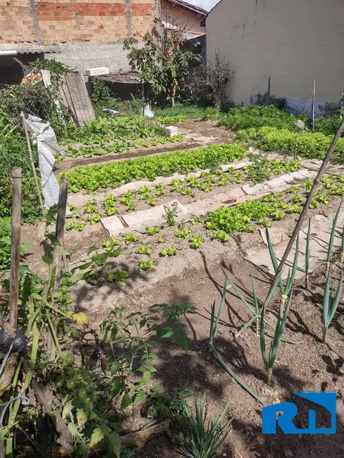 Terreno / Lote à venda, 225m2 em Balneário dos Golfinhos, Caraguatatuba - SP - imagem 7 Foto 7 de Terreno / Lote à venda, 225m2 em Balneário dos Golfinhos, Caraguatatuba - SP