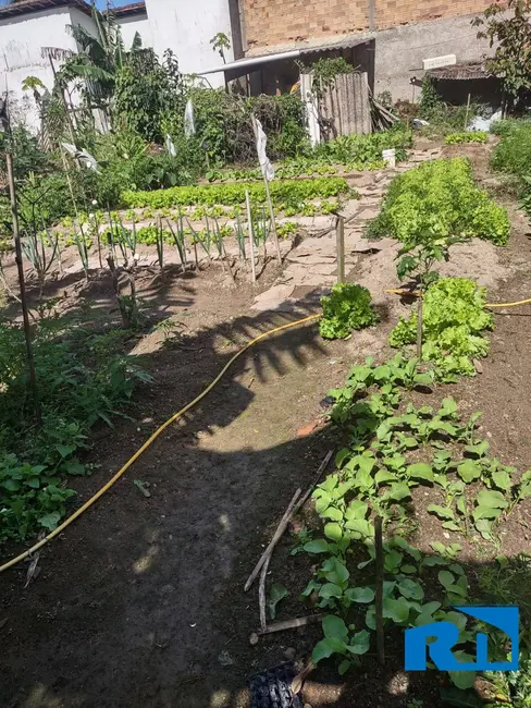 Terreno / Lote à venda, 225m2 em Balneário dos Golfinhos, Caraguatatuba - SP - imagem 9 Foto 9 de Terreno / Lote à venda, 225m2 em Balneário dos Golfinhos, Caraguatatuba - SP