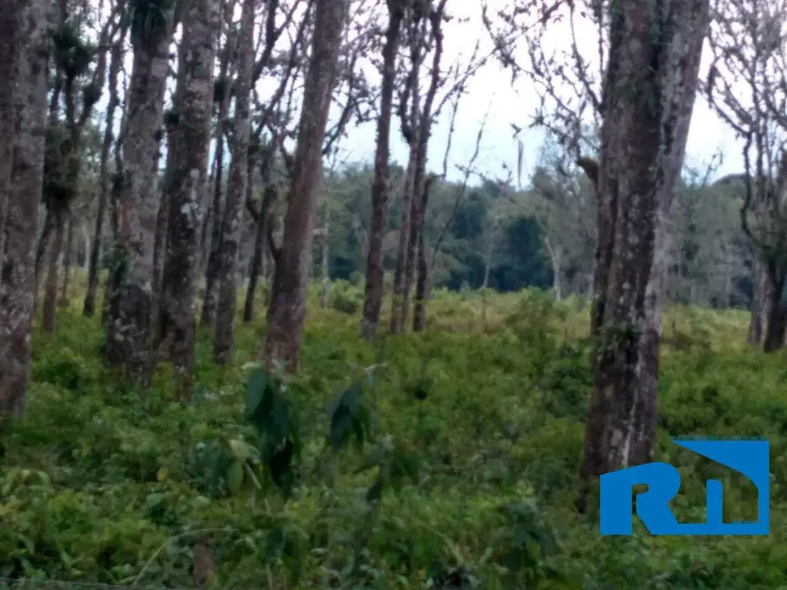 Foto 4 de Terreno / Lote à venda, 30500m2 em Pegorelli, Caraguatatuba - SP