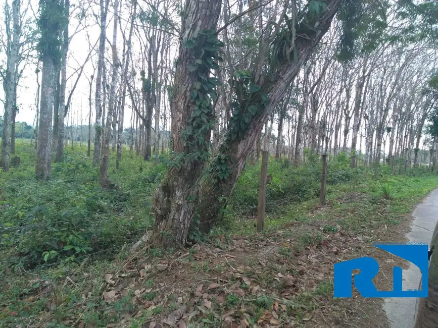 Foto 5 de Terreno / Lote à venda, 30500m2 em Pegorelli, Caraguatatuba - SP