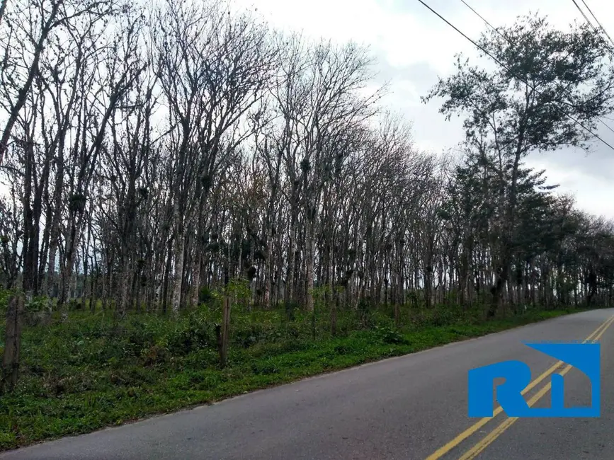 Foto 3 de Terreno / Lote à venda, 30500m2 em Pegorelli, Caraguatatuba - SP