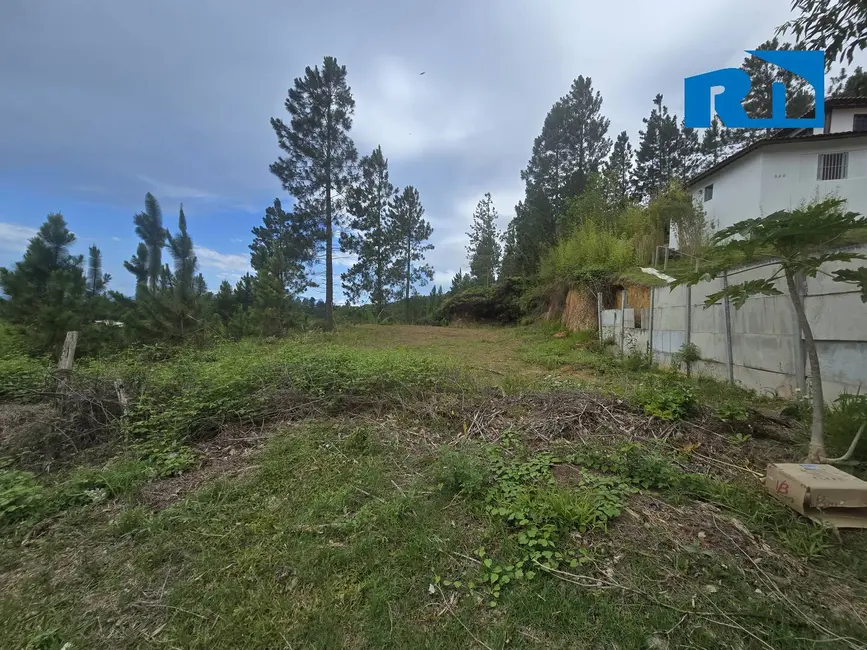 Terreno / Lote à venda, 360m2 em Massaguaçu, Caraguatatuba - SP - imagem 4 Foto 4 de Terreno / Lote à venda, 360m2 em Massaguaçu, Caraguatatuba - SP