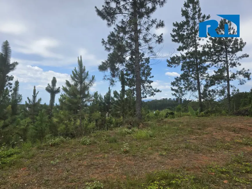 Terreno / Lote à venda, 360m2 em Massaguaçu, Caraguatatuba - SP - imagem 3 Foto 3 de Terreno / Lote à venda, 360m2 em Massaguaçu, Caraguatatuba - SP