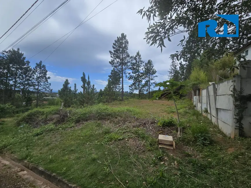 Terreno / Lote à venda, 360m2 em Massaguaçu, Caraguatatuba - SP - imagem 8 Foto 8 de Terreno / Lote à venda, 360m2 em Massaguaçu, Caraguatatuba - SP