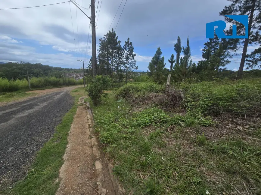 Terreno / Lote à venda, 360m2 em Massaguaçu, Caraguatatuba - SP - imagem 5 Foto 5 de Terreno / Lote à venda, 360m2 em Massaguaçu, Caraguatatuba - SP