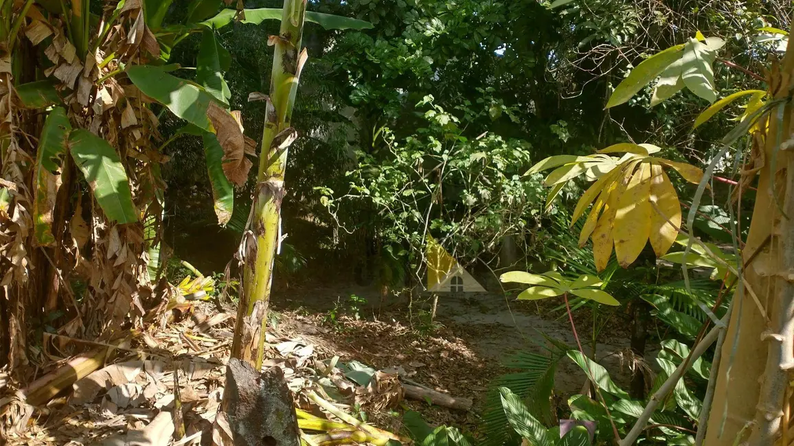 Foto 5 de Chácara com 4 quartos à venda, 2084m2 em Vera Cruz, Cacapava - SP