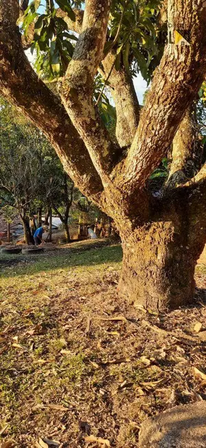 Foto 8 de Terreno / Lote à venda, 2500m2 em Chácara Recreio Taquaral, Cacapava - SP