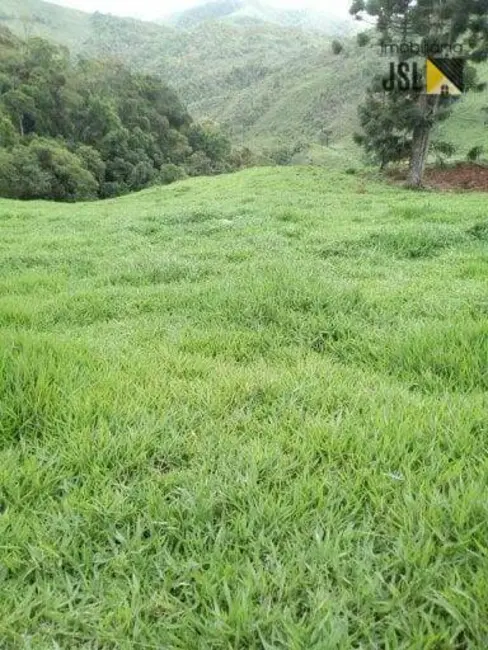 Fazenda / Haras com 3 quartos à venda, 1210000m2 em Bananal - SP - imagem 9 Foto 9 de Fazenda / Haras com 3 quartos à venda, 1210000m2 em Bananal - SP