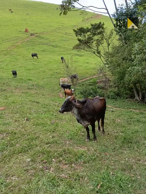 Sítio / Rancho com 3 quartos à venda, 484000m2 em Cunha - SP - imagem 4 Foto 4 de Sítio / Rancho com 3 quartos à venda, 484000m2 em Cunha - SP