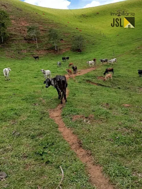 Sítio / Rancho com 3 quartos à venda, 484000m2 em Cunha - SP - imagem 5 Foto 5 de Sítio / Rancho com 3 quartos à venda, 484000m2 em Cunha - SP