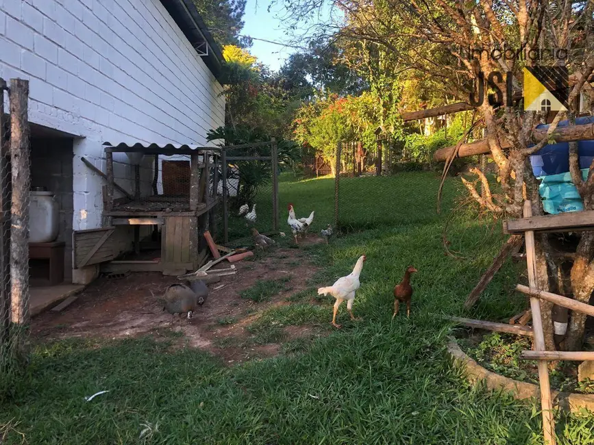 Sítio / Rancho com 3 quartos à venda, 24200m2 em Sao Luiz Do Paraitinga - SP - imagem 6 Foto 6 de Sítio / Rancho com 3 quartos à venda, 24200m2 em Sao Luiz Do Paraitinga - SP