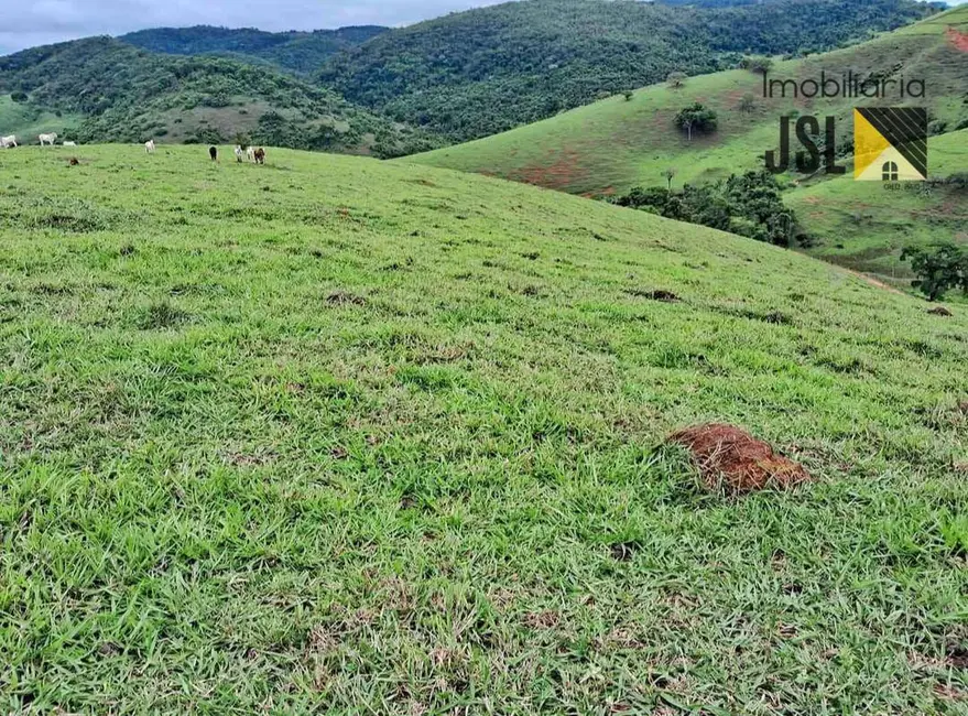 Foto 2 de Fazenda / Haras com 3 quartos à venda, 662000m2 em Taubate - SP