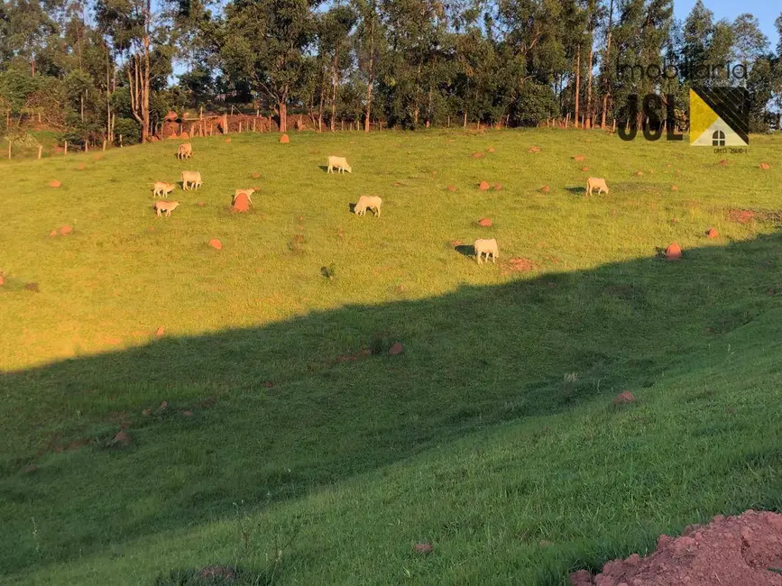 Sala Comercial à venda, 30000m2 em Sao Luiz Do Paraitinga - SP - imagem 5 Foto 5 de Sala Comercial à venda, 30000m2 em Sao Luiz Do Paraitinga - SP