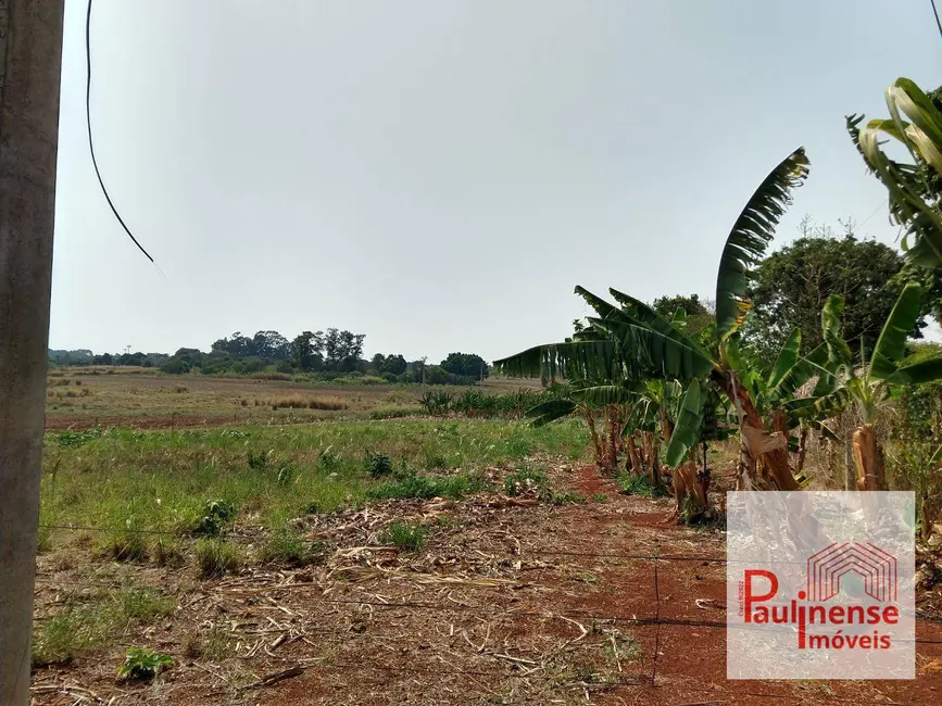 Foto 3 de Sala Comercial à venda, 24200m2 em Betel, Paulinia - SP
