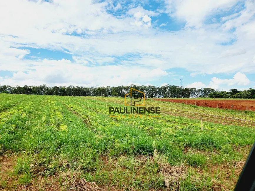 Foto 3 de Sala Comercial à venda, 154051m2 em Bonfim, Paulinia - SP