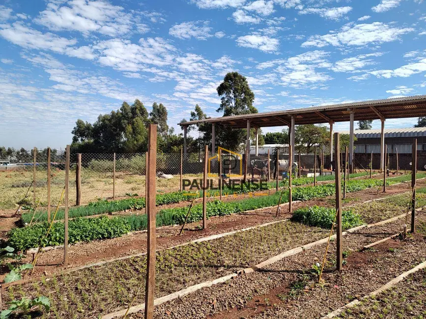 Foto 5 de Sala Comercial à venda, 30600m2 em Jardim Santa Maria (Nova Veneza), Sumare - SP