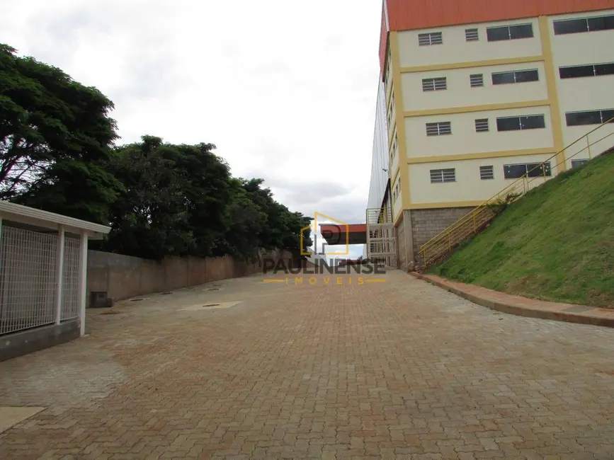 Foto 4 de Armazém / Galpão para alugar, 2500m2 em Vila Boa Vista, Campinas - SP