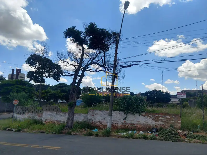 Foto 6 de Terreno / Lote à venda, 338m2 em Santa Cecília, Paulinia - SP