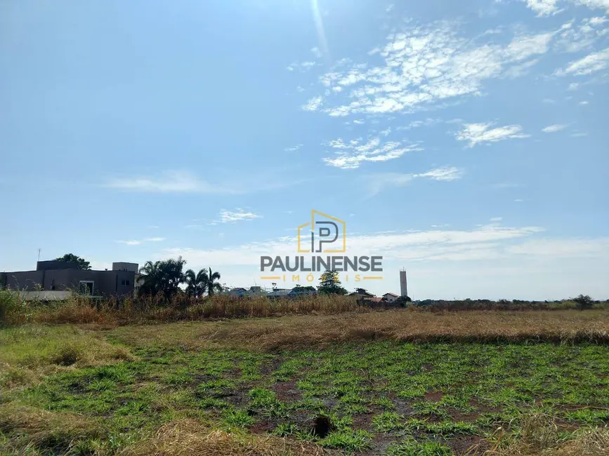 Foto 4 de Sala Comercial à venda, 217000m2 em Betel, Paulinia - SP