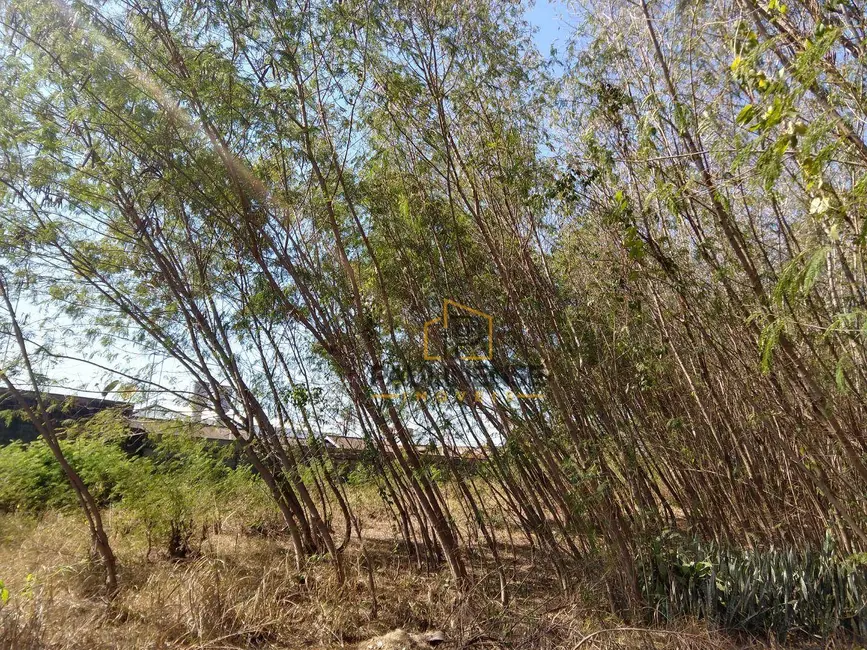 Foto 4 de Sala Comercial à venda, 5000m2 em Santa Terezinha, Paulinia - SP