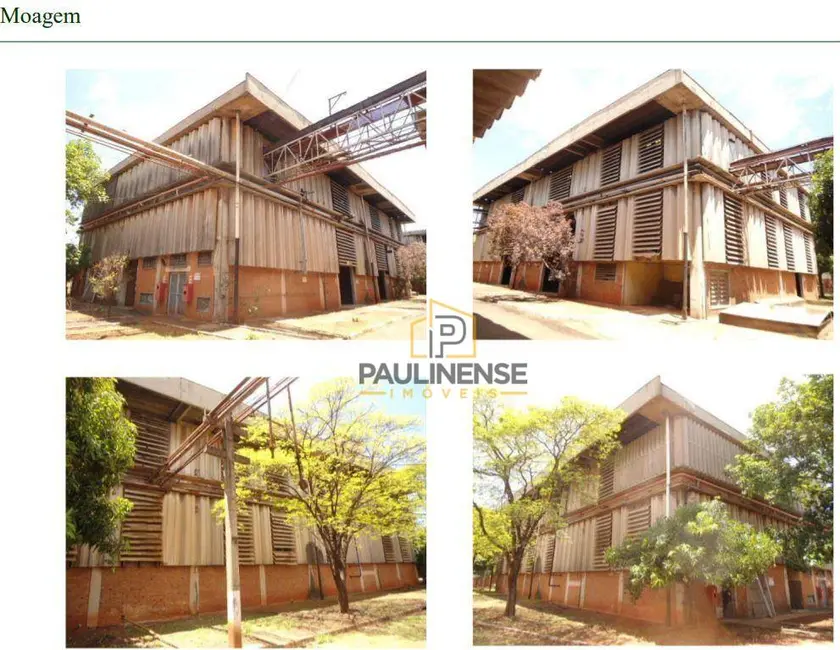 Sala Comercial à venda, 193823m2 em Jardim Chapadão, Campinas - SP - imagem 6 Foto 6 de Sala Comercial à venda, 193823m2 em Jardim Chapadão, Campinas - SP