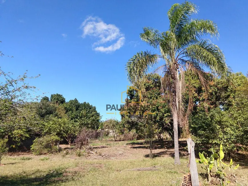 Foto 8 de Chácara com 3 quartos à venda e para alugar, 2502m2 em Nova Veneza, Paulinia - SP