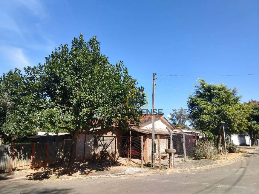 Foto 4 de Chácara com 3 quartos à venda, 3700m2 em Bela Vista, Paulinia - SP