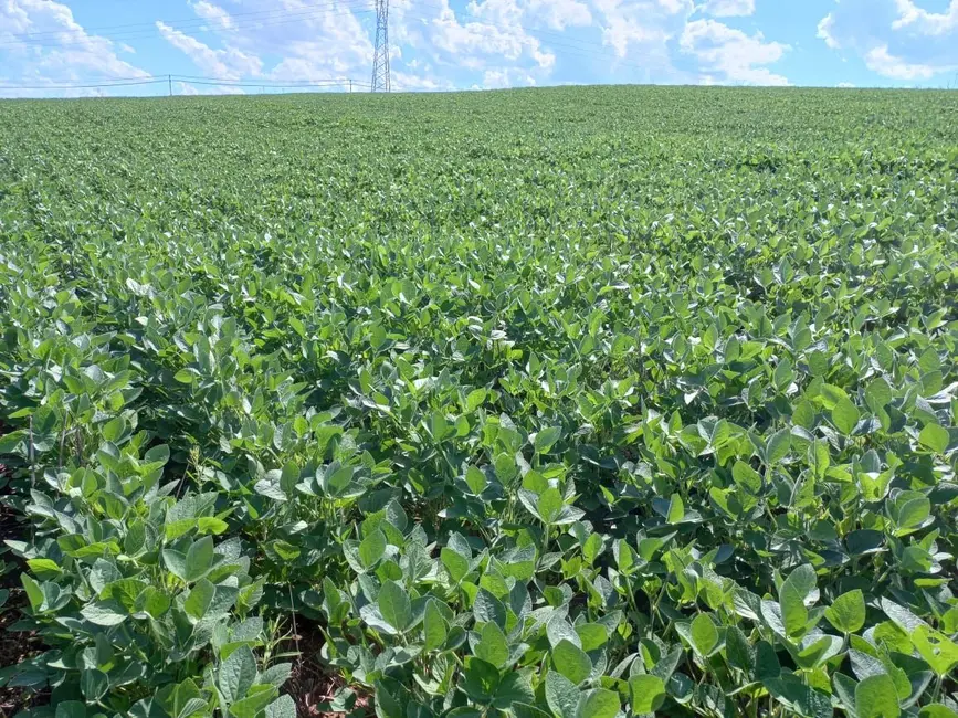 Foto 6 de Sala Comercial à venda, 338800m2 em Uvaranas, Ponta Grossa - PR