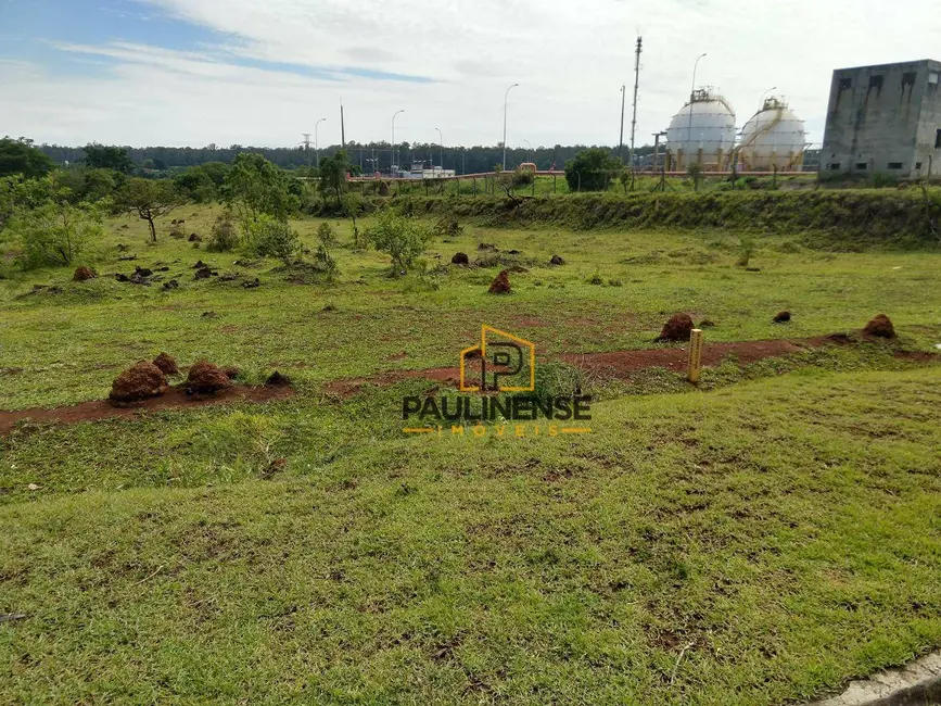 Foto 6 de Sala Comercial à venda, 38278m2 em Bonfim, Paulinia - SP