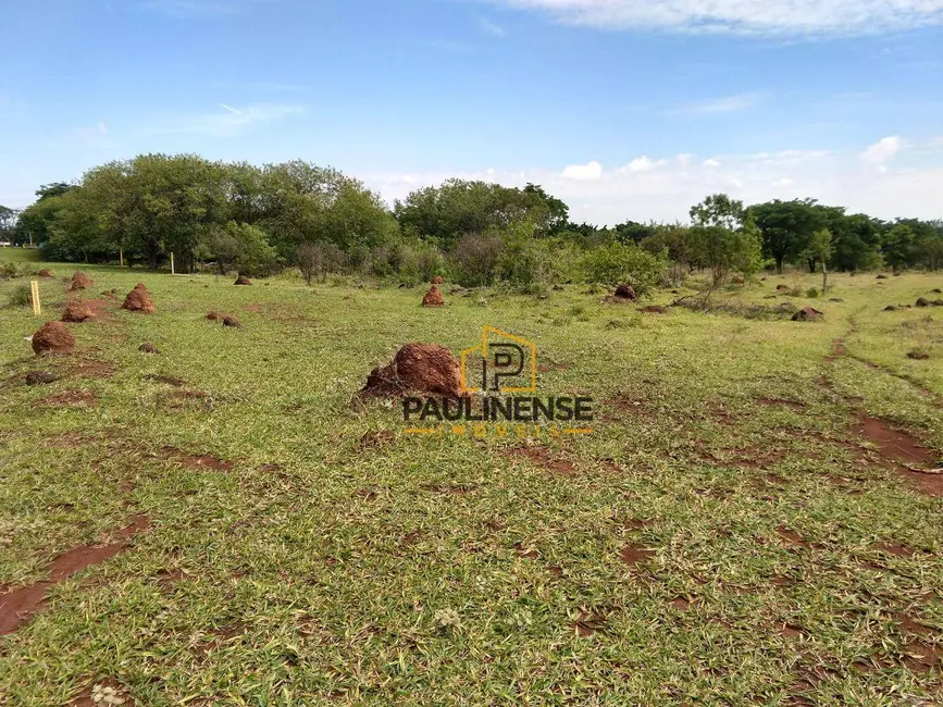 Foto 9 de Sala Comercial à venda, 38278m2 em Bonfim, Paulinia - SP