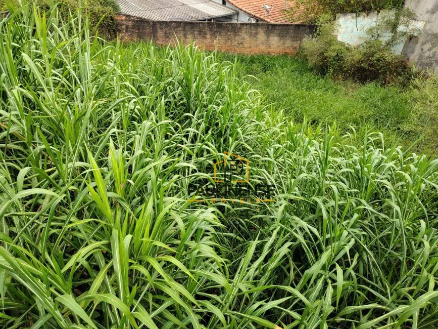Foto 6 de Terreno / Lote à venda, 352m2 em Jardim Planalto, Paulinia - SP