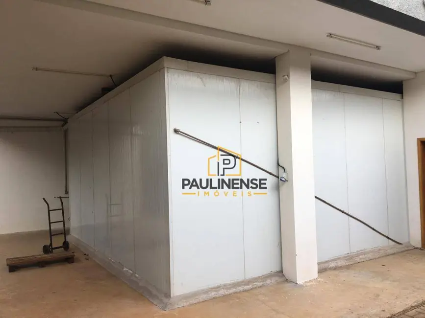 Sobrado com 4 quartos à venda, 301m2 em Jardim Planalto, Paulinia - SP - imagem 5 Foto 5 de Sobrado com 4 quartos à venda, 301m2 em Jardim Planalto, Paulinia - SP