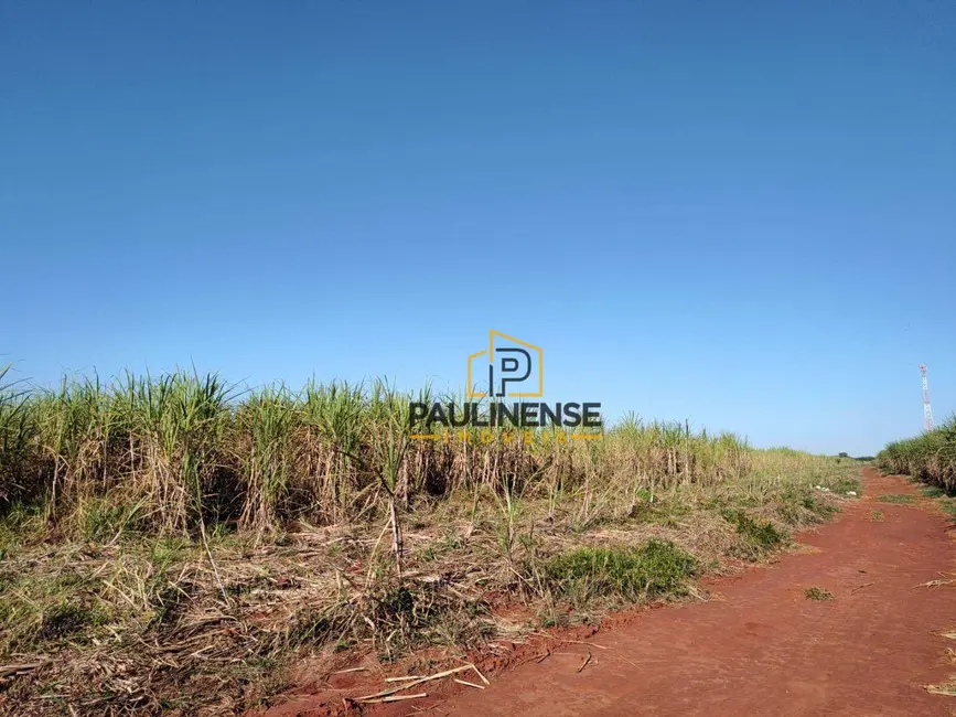 Foto 9 de Sala Comercial à venda, 78614m2 em Santo Antônio, Cosmopolis - SP