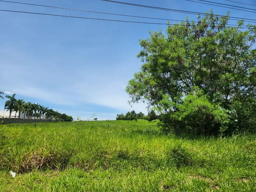 Foto 3 de Sala Comercial à venda, 44898m2 em Jardim Conceição (Nova Veneza), Sumare - SP