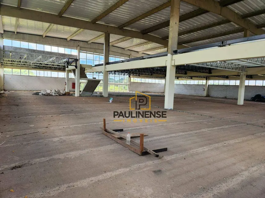 Armazém / Galpão à venda e para alugar, 2522m2 em Betel, Paulinia - SP - imagem 5 Foto 5 de Armazém / Galpão à venda e para alugar, 2522m2 em Betel, Paulinia - SP