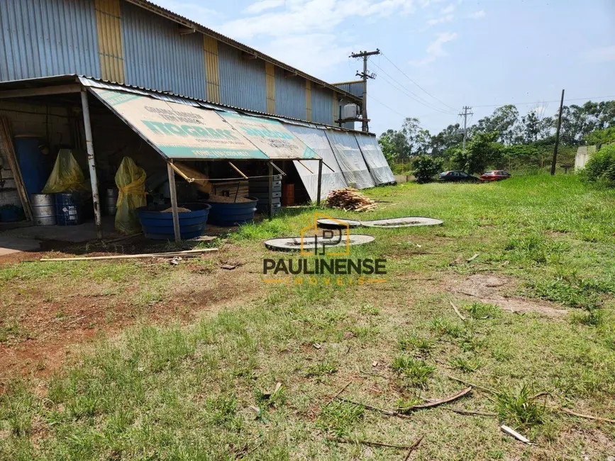Foto 7 de Armazém / Galpão à venda e para alugar, 5000m2 em Betel, Paulinia - SP