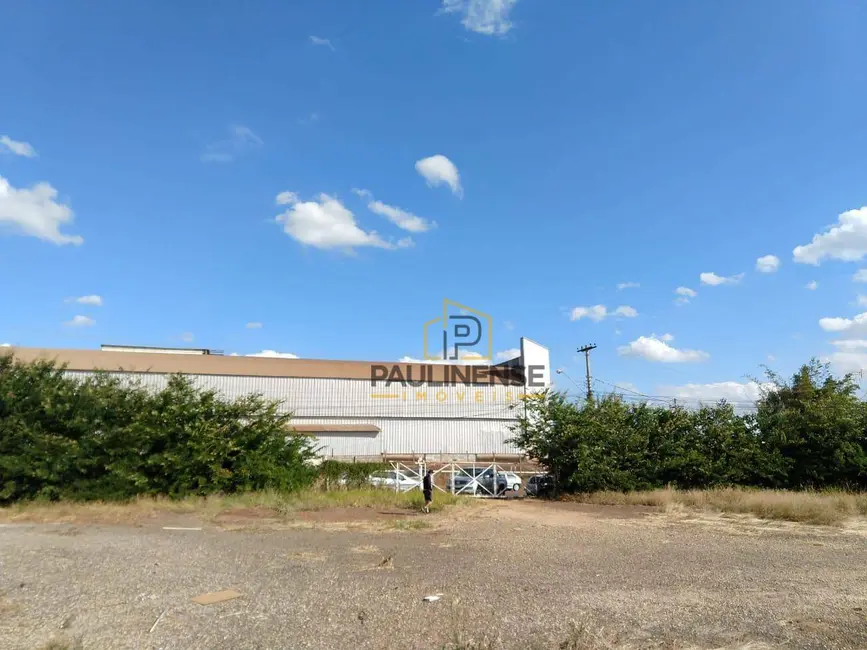 Foto 10 de Armazém / Galpão para alugar, 2512m2 em Betel, Paulinia - SP