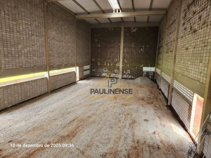Armazém / Galpão para alugar, 1413m2 em Paulinia - SP - imagem 5 Foto 5 de Armazém / Galpão para alugar, 1413m2 em Paulinia - SP