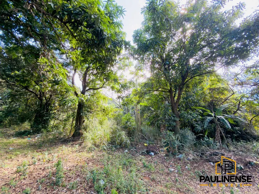 Terreno / Lote à venda, 1000m2 em Parque da Represa, Paulinia - SP - imagem 5 Foto 5 de Terreno / Lote à venda, 1000m2 em Parque da Represa, Paulinia - SP