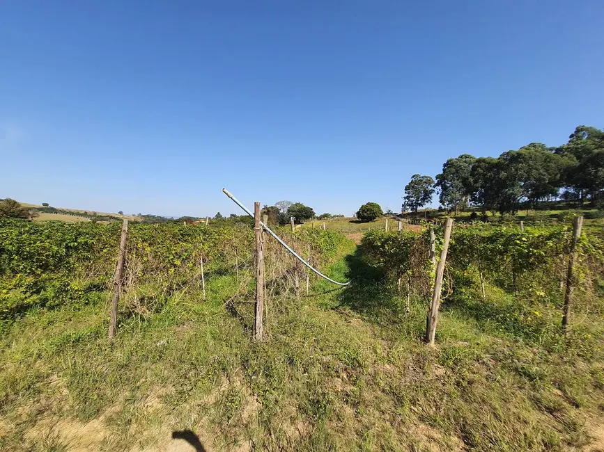 Foto 9 de Chácara à venda e para alugar, 20000m2 em Bairro Tapera Grande, Itatiba - SP