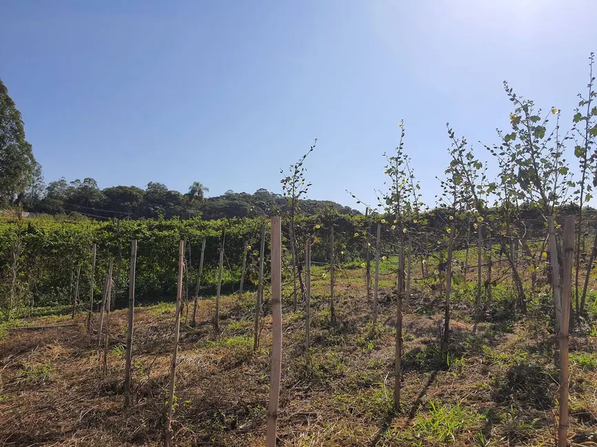 Foto 14 de Chácara à venda, 20000m2 em Bairro Tapera Grande, Itatiba - SP