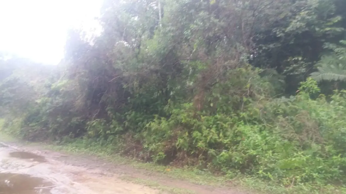 Terreno / Lote à venda, 500m2 em Peruibe - SP - imagem 5 Foto 5 de Terreno / Lote à venda, 500m2 em Peruibe - SP