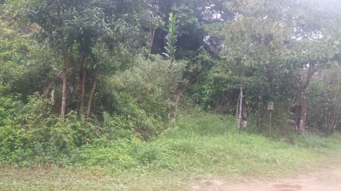 Terreno / Lote à venda, 500m2 em Peruibe - SP - imagem 6 Foto 6 de Terreno / Lote à venda, 500m2 em Peruibe - SP