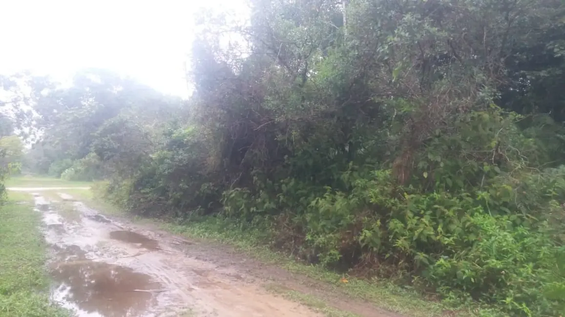 Terreno / Lote à venda, 500m2 em Peruibe - SP - imagem 8 Foto 8 de Terreno / Lote à venda, 500m2 em Peruibe - SP