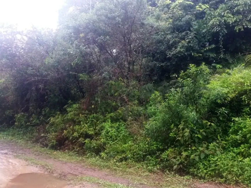Foto 2 de Terreno / Lote à venda, 280m2 em Itanhaem - SP