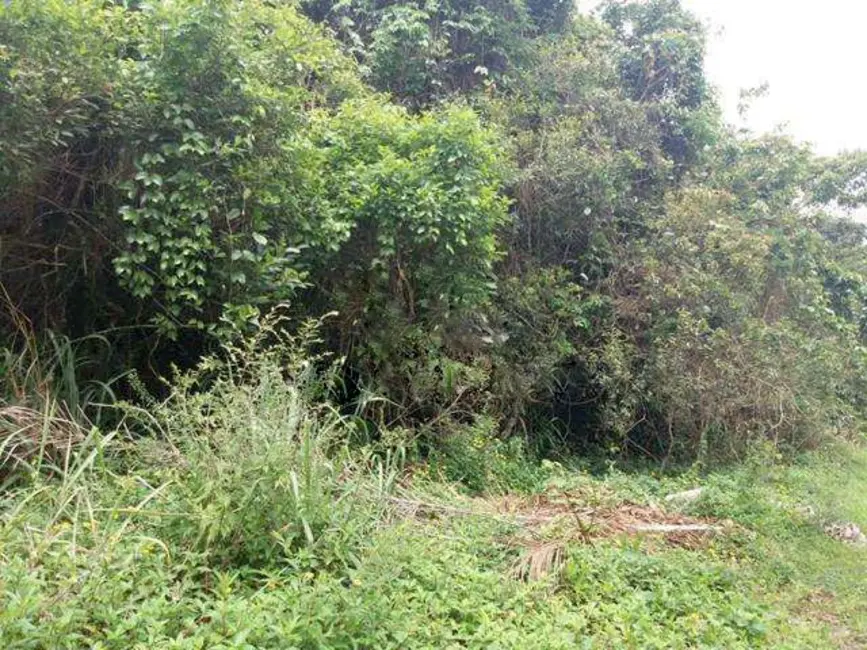 Foto 8 de Terreno / Lote à venda, 280m2 em Itanhaem - SP