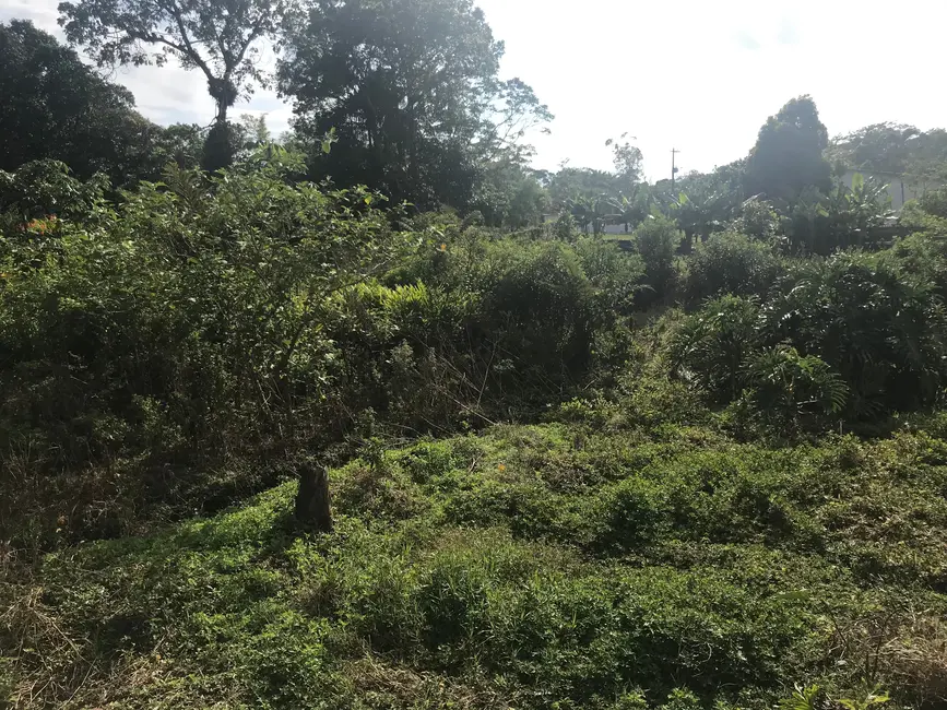 Foto 3 de Terreno / Lote à venda, 280m2 em Itanhaem - SP